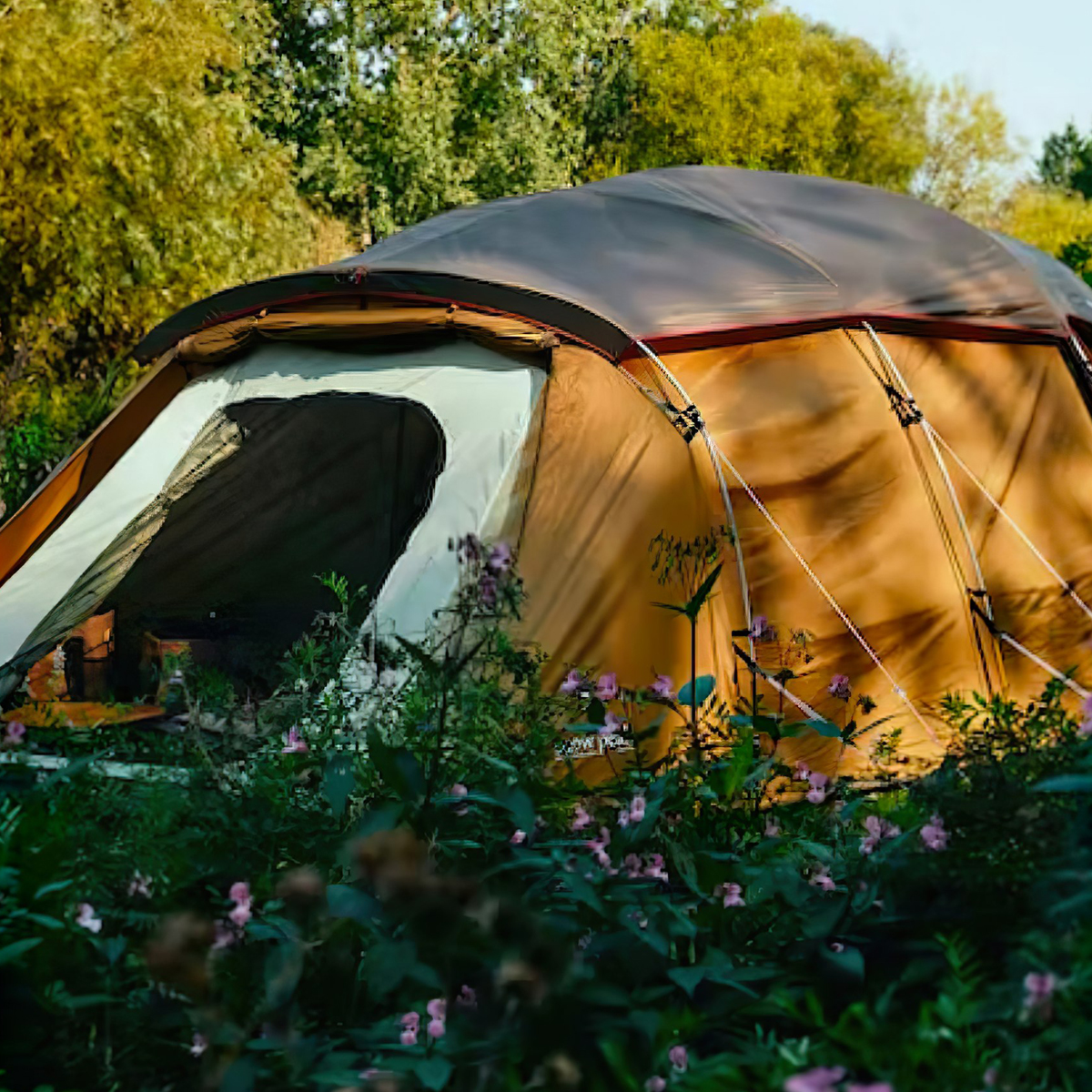 Snowpeak Entry 2 Room Elfield Tp-880R Lều Đường Hầm Cắm Trại Chống Tia Uv, Chống Thấm Nước