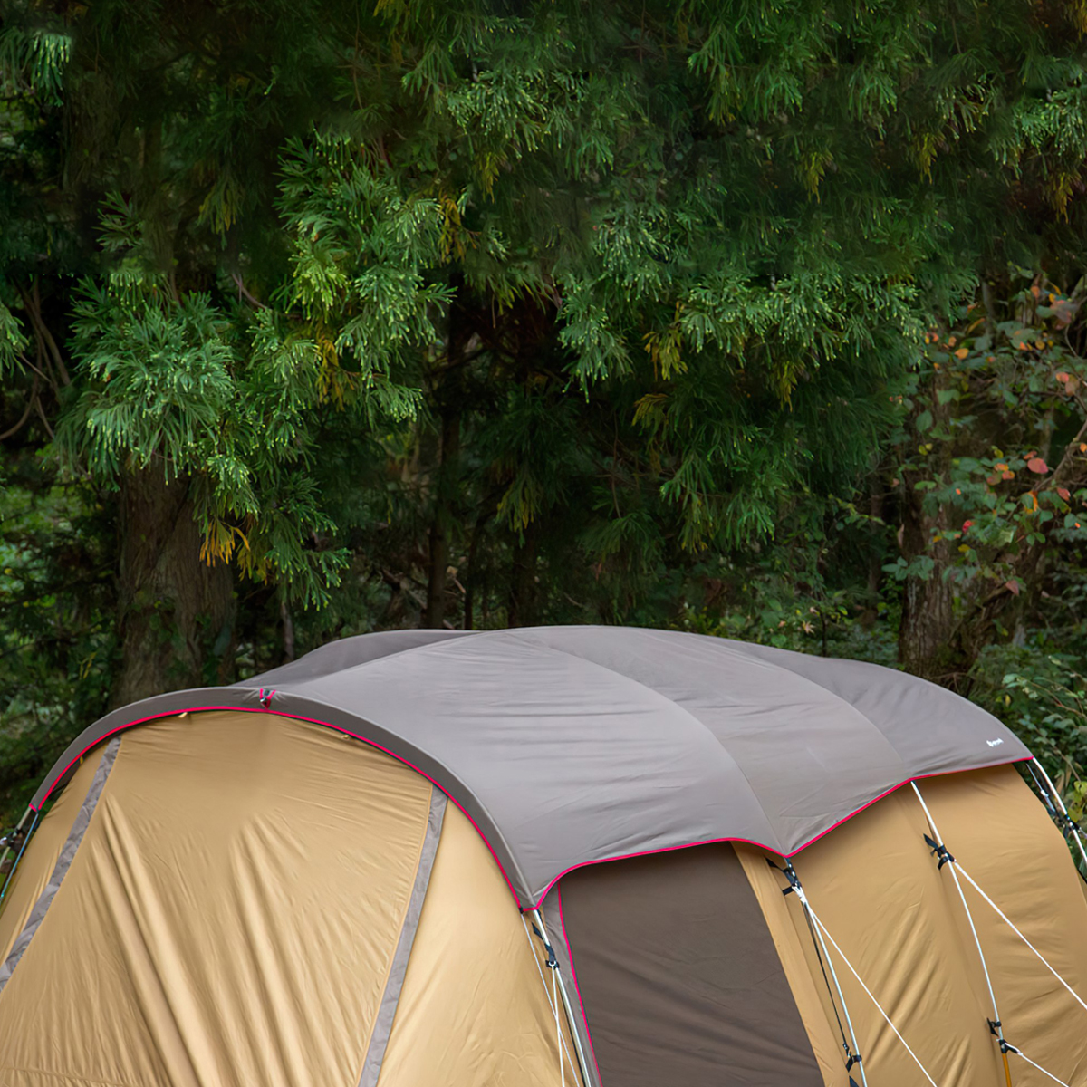 Snowpeak Entry 2 Room Elfield Tp-880R Lều Đường Hầm Cắm Trại Chống Tia Uv, Chống Thấm Nước