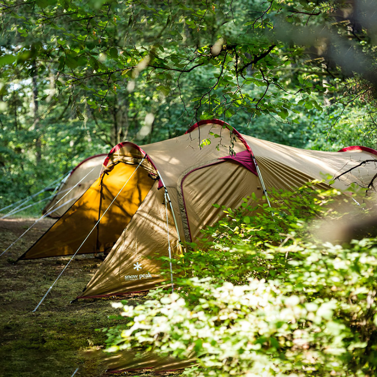 Snowpeak Vault Lều Đường Hầm Cắm Trại