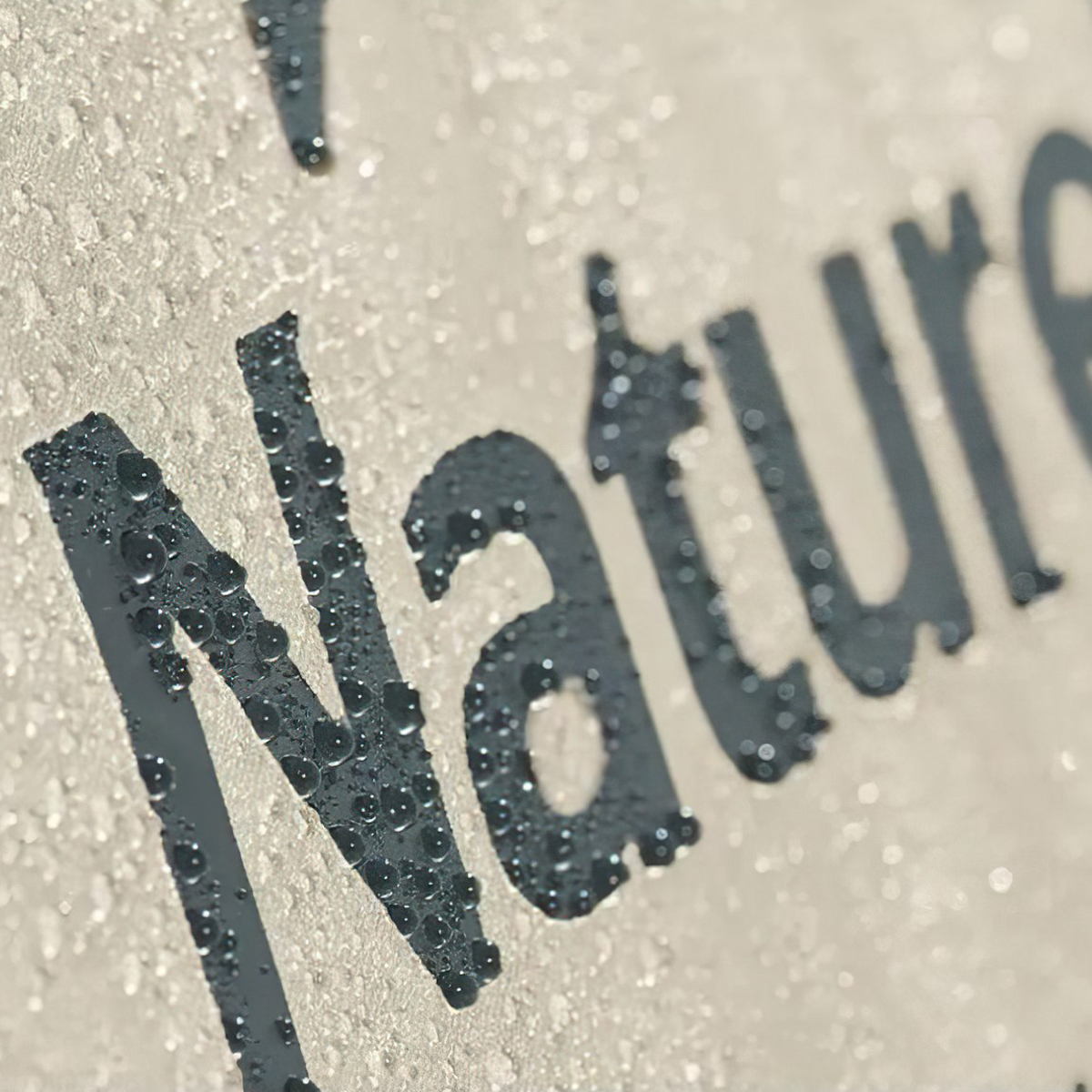 Naturehike Lều Tự Bung Cắm Trại 2 – 4 Người – ( Lều Village 5.0 thế hệ 2 )