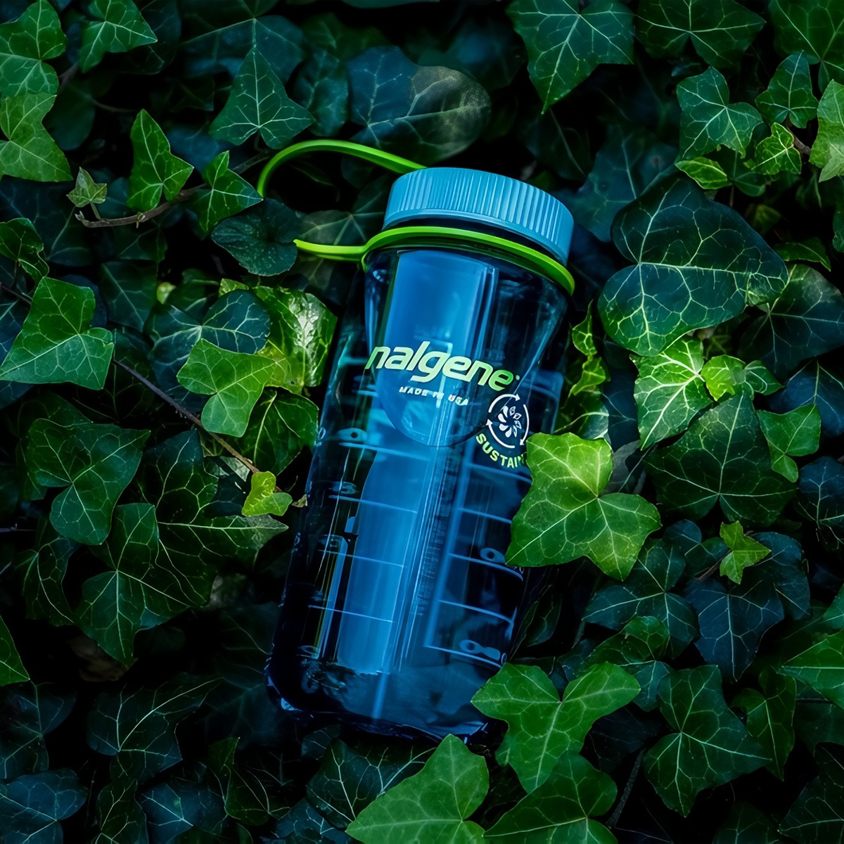 Nalgene Tritan Sustain WMB 0.5L Bình Nước Cắm Trại