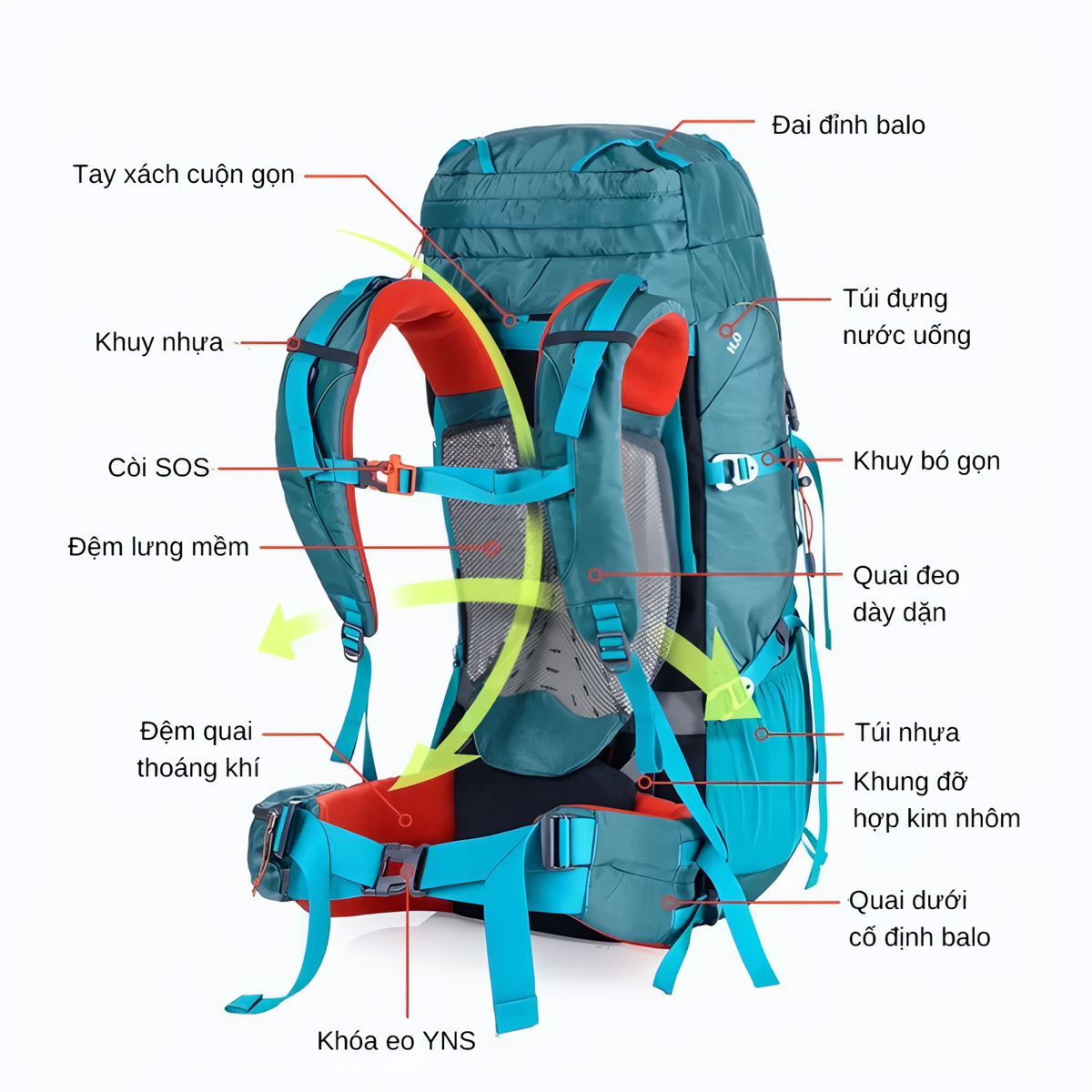 Naturehike Balo Du Lịch, Dã Ngoại Trekking 55L - NH16Y020-Q