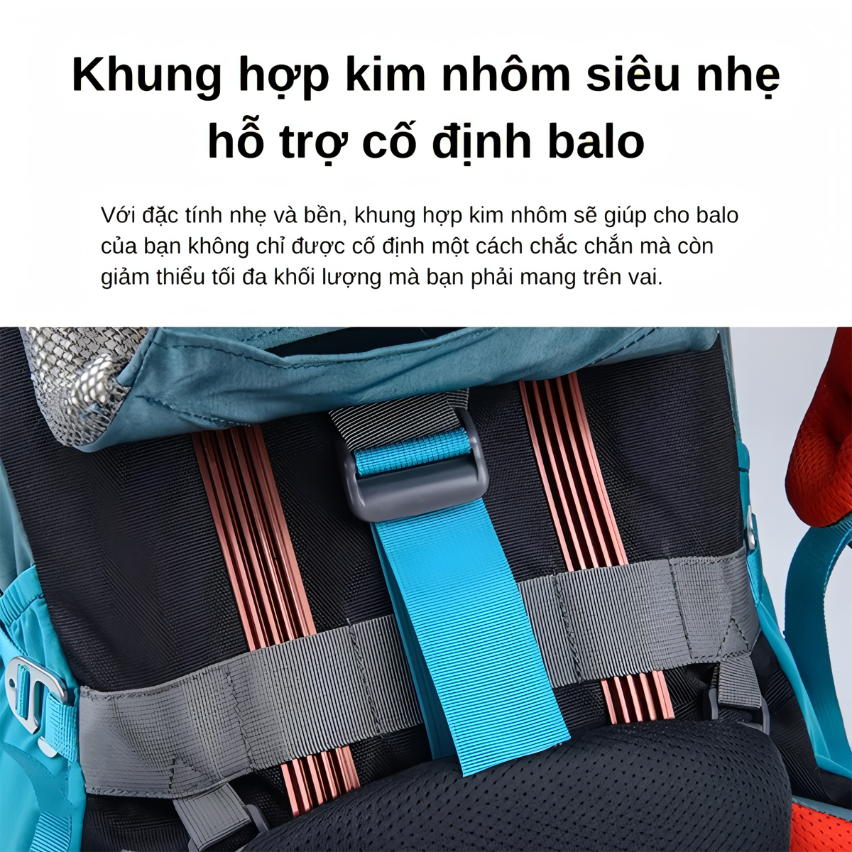 Naturehike Balo Du Lịch, Dã Ngoại Trekking 55L - NH16Y020-Q