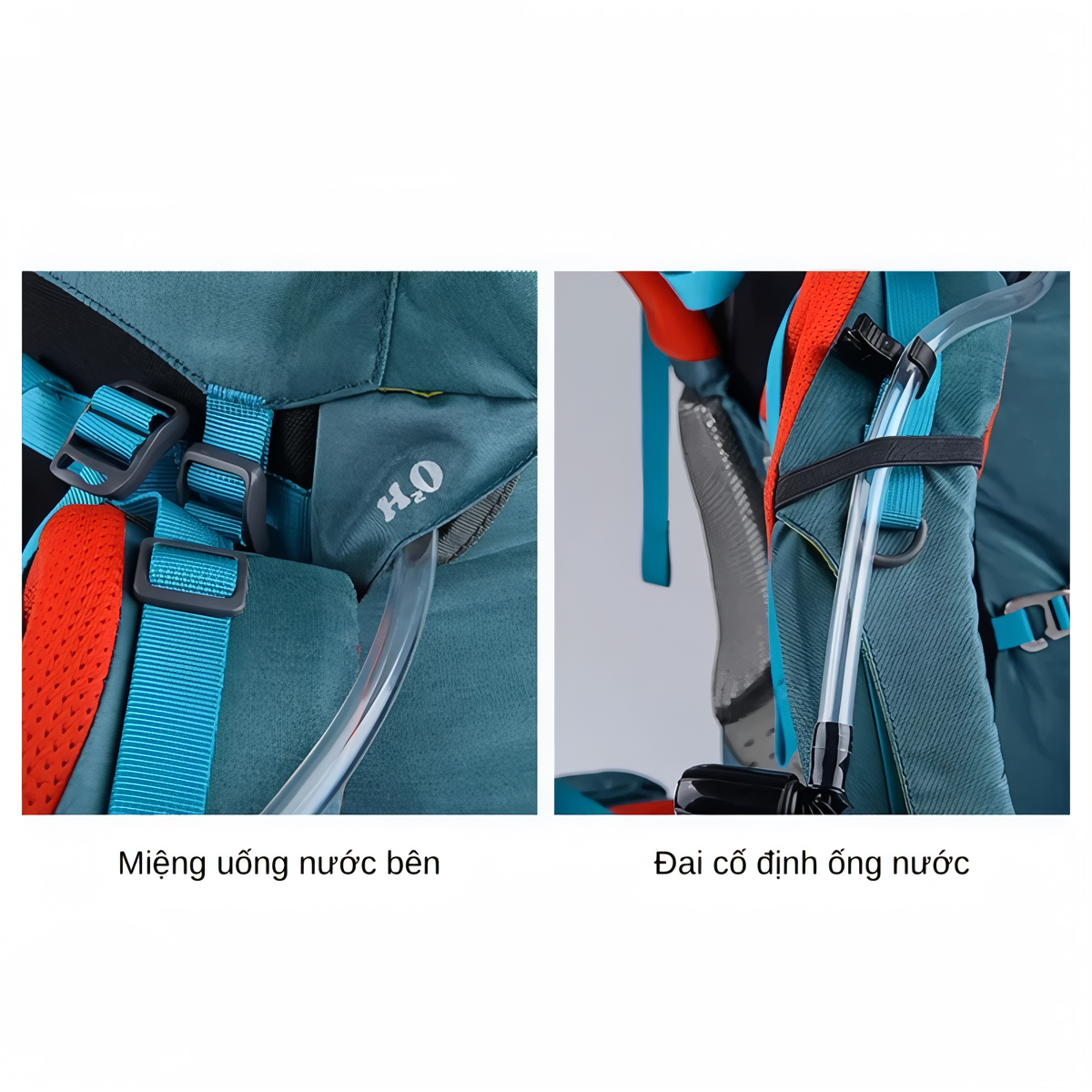 Naturehike Balo Du Lịch, Dã Ngoại Trekking 55L - NH16Y020-Q