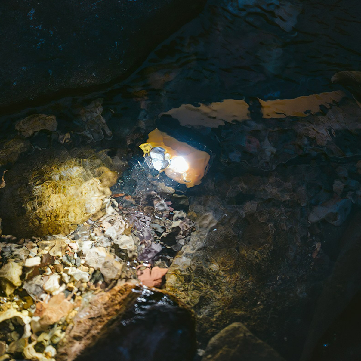 Naturehike Đèn pin Cắm Trại Đội Đầu pin AAA CNK2300DQ016