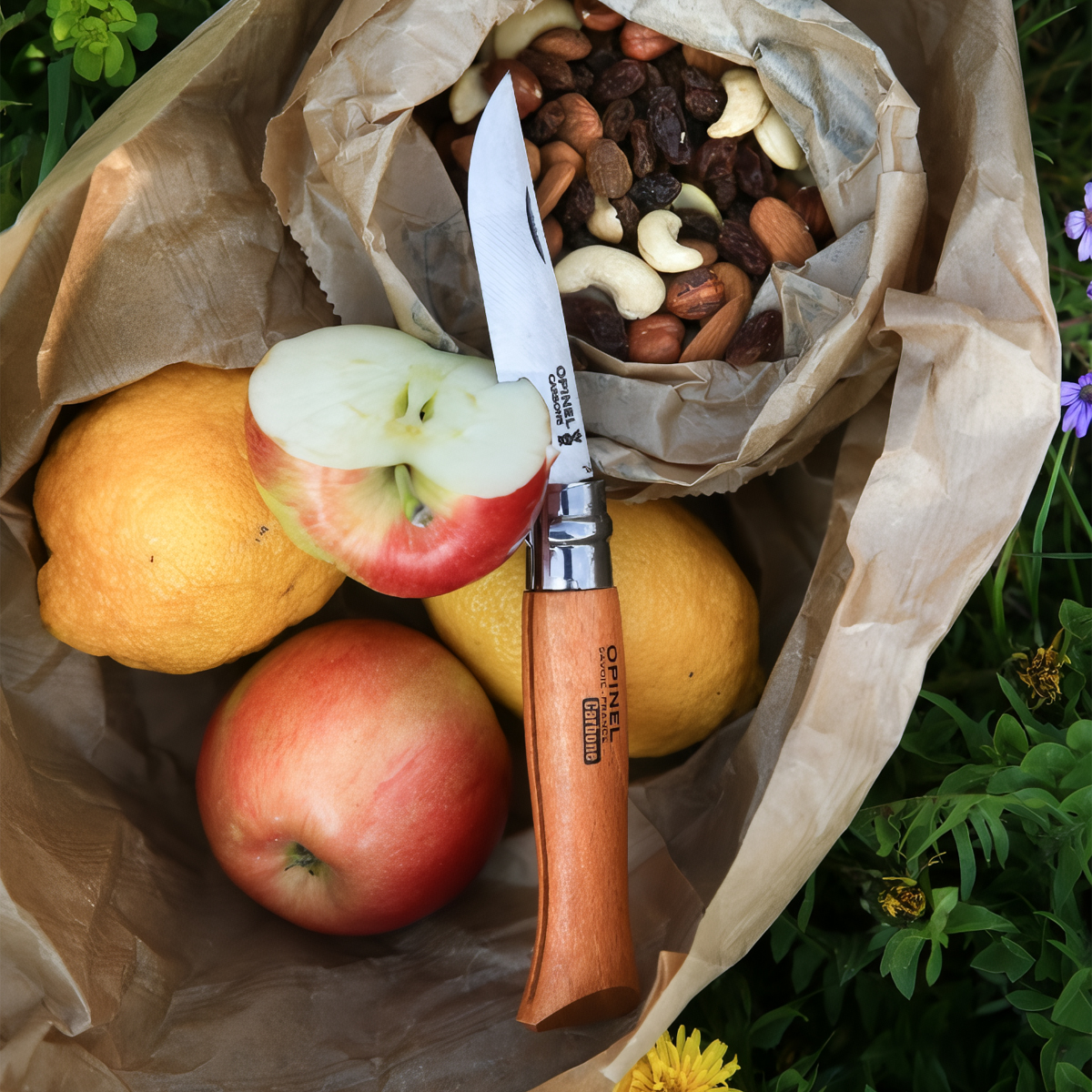 Opinel Dao Xếp Cắm Trại No.12 Carbon Steel