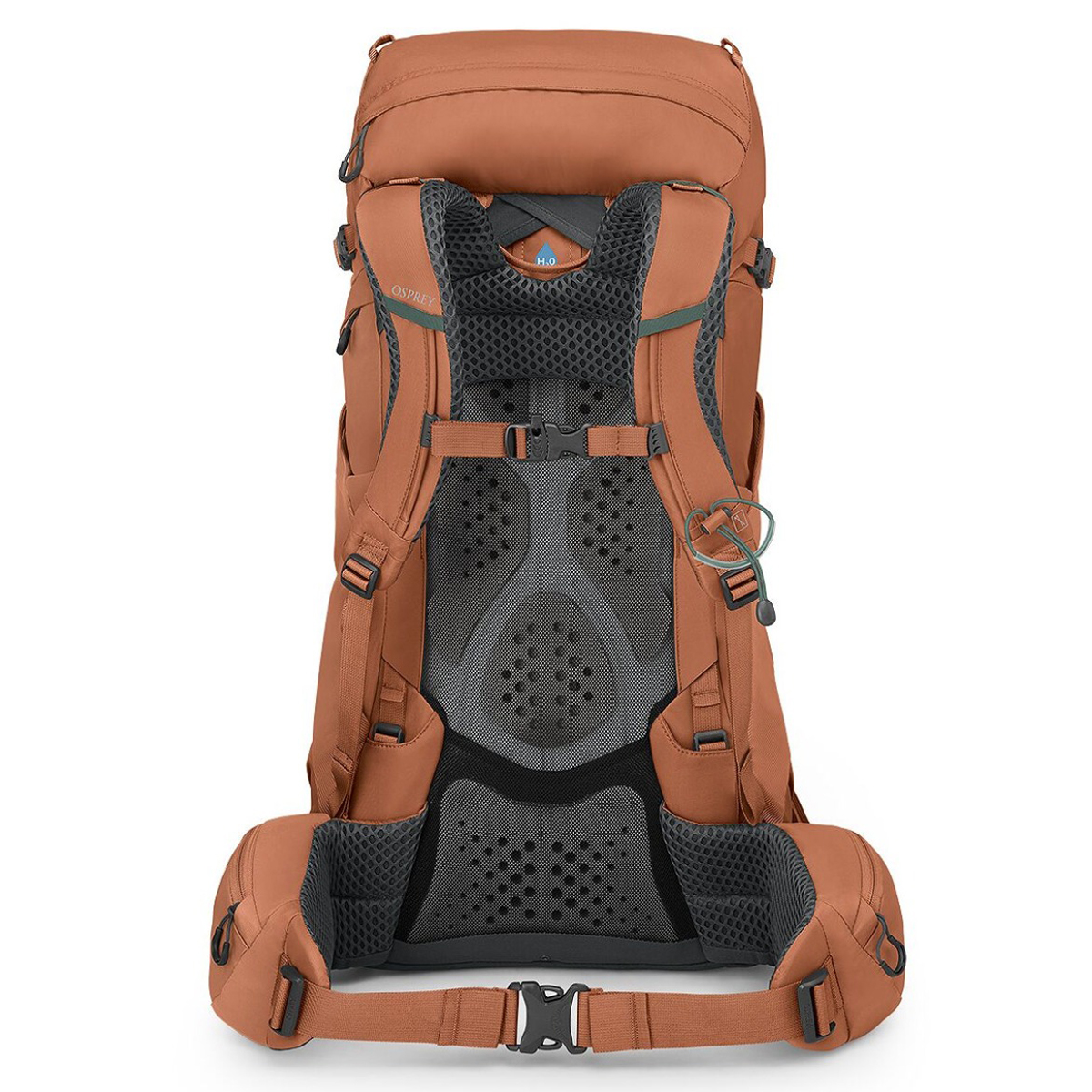 Osprey Kyte 38L Balo Du lịch Leo Núi