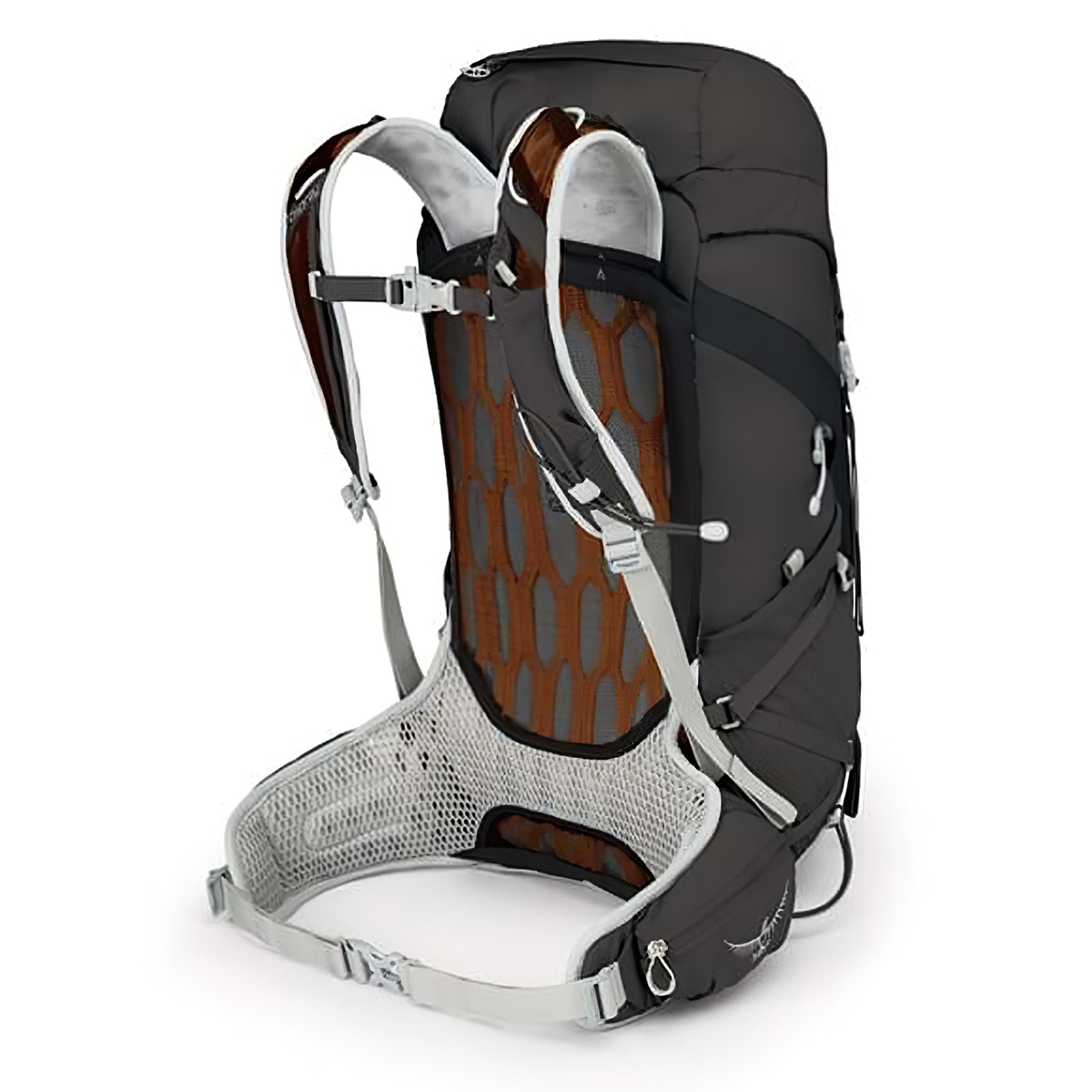 Osprey Talon 33 Balo Leo Núi Cắm Trại