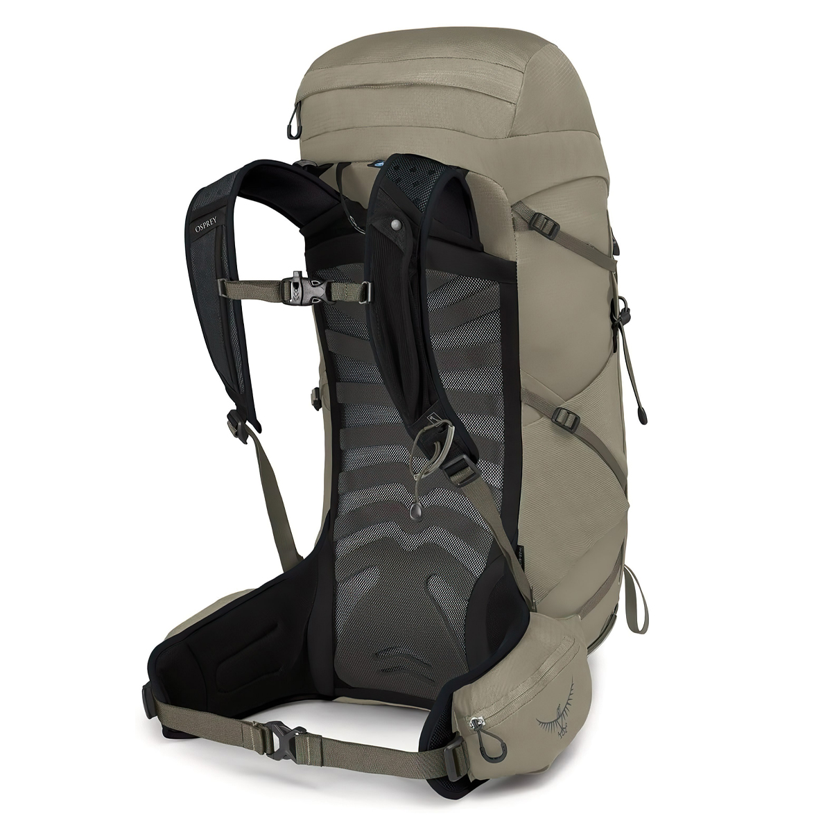 Osprey Talon 33 Balo Leo Núi Cắm Trại