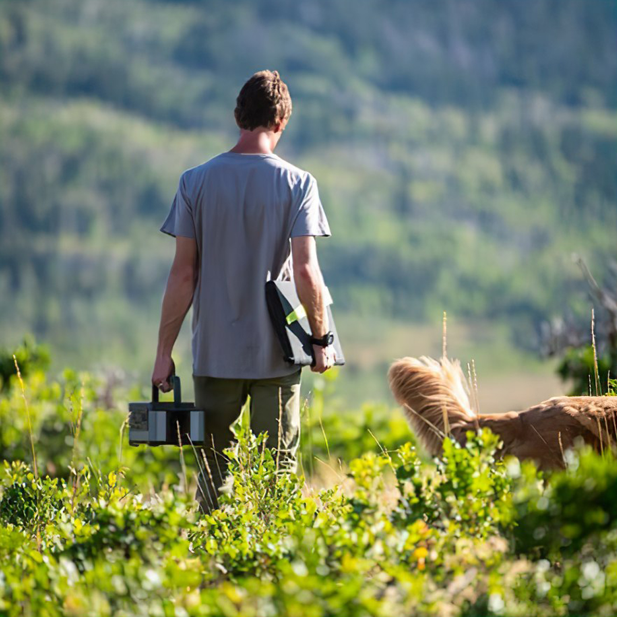 Tấm Pin Mặt Trời Goal Zero Nomad 50 Solar Panel
