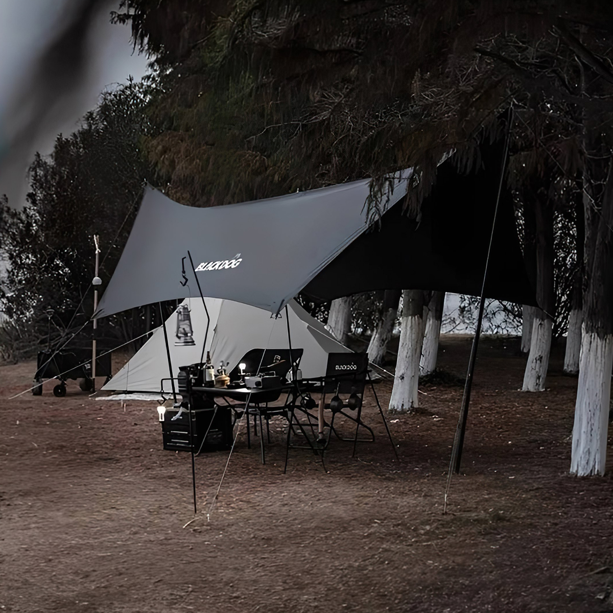 Tăng Cắm Trại Du Lịch Phủ Vinyl Lục Giác Lớn Cho Hơn 20 Người Blackdog BD-TM003 Large Hexagon Tarp