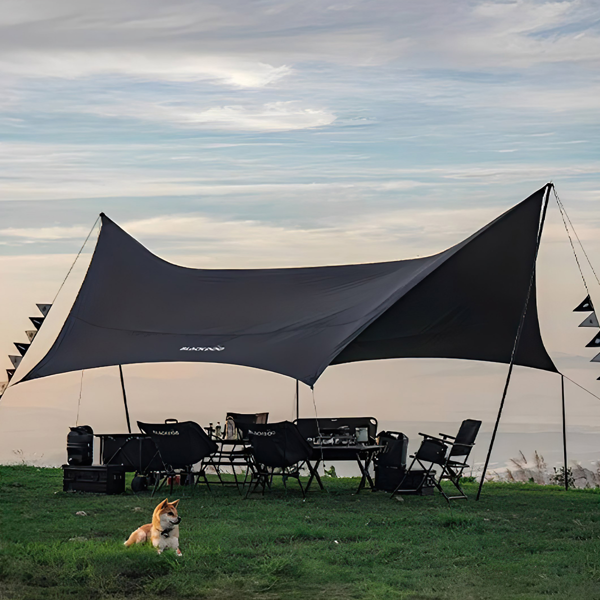 Tăng Cắm Trại Du Lịch Phủ Vinyl Lục Giác Lớn Cho Hơn 20 Người Blackdog BD-TM003 Large Hexagon Tarp