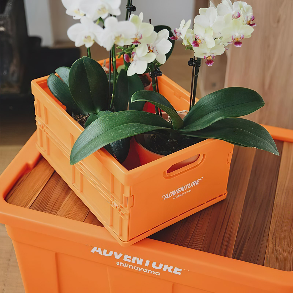 Shimoyama 12L Thùng Đựng Đồ Cắm Trại Xếp Gọn Không Nắp