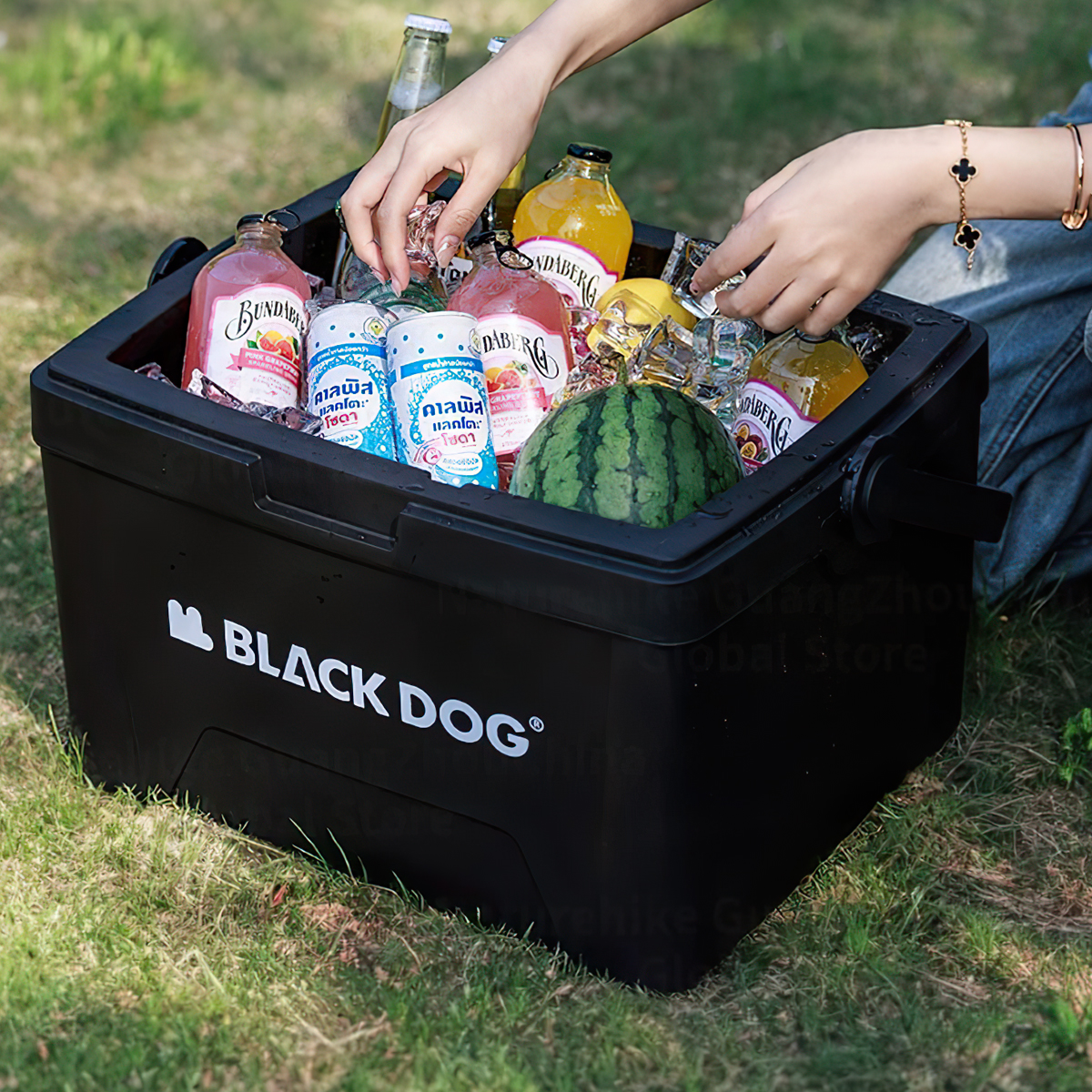 Blackdog Thùng Giữ Lạnh Cắm Trại 13L - 25L