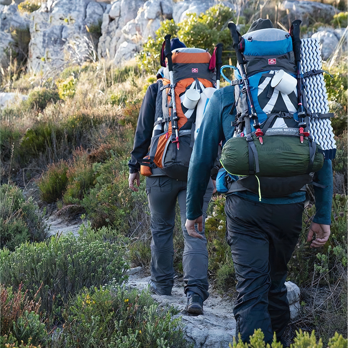 Naturehike Balo Trekking – Dã Ngoại 70L + 5