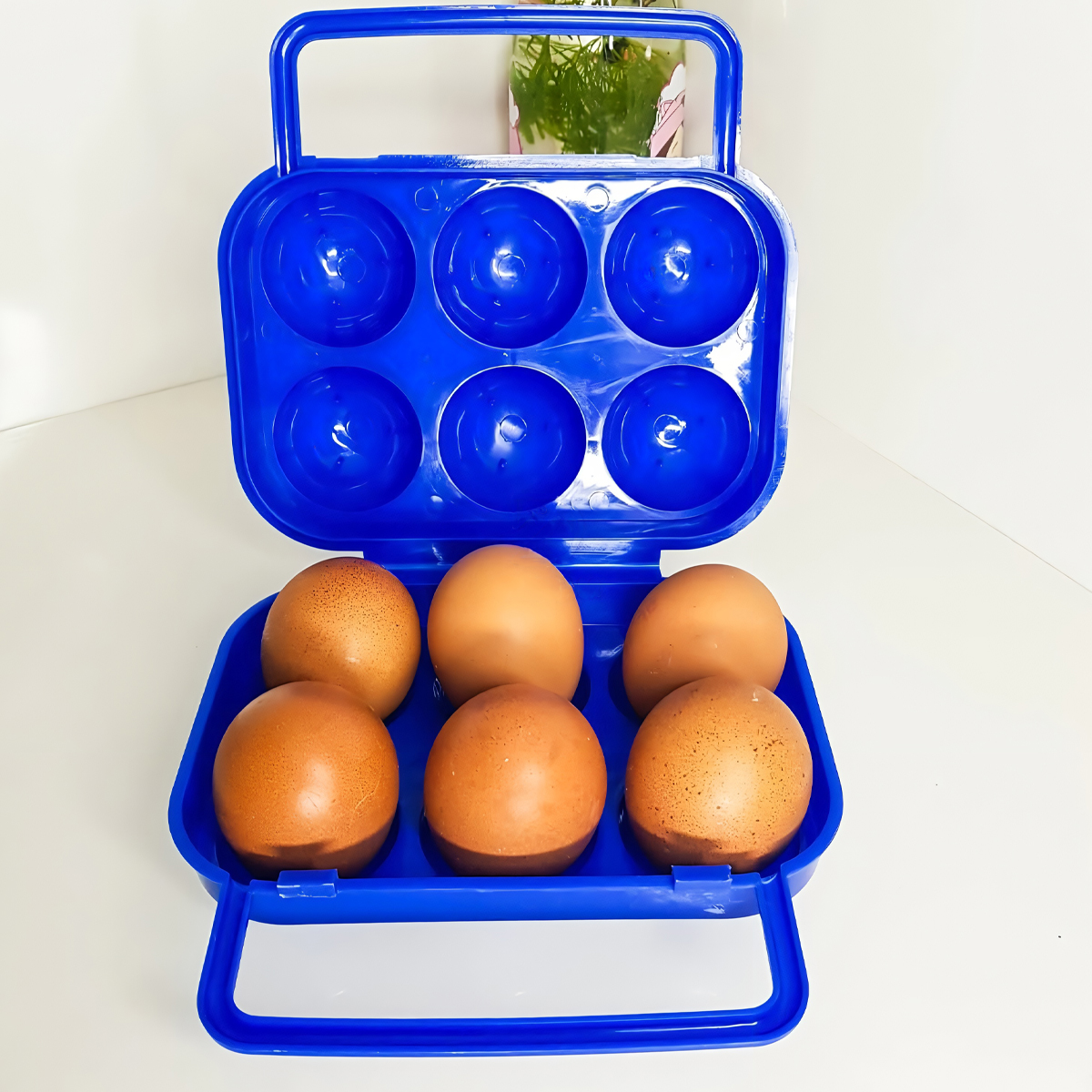 Vultura Hộp Đựng Trứng Cắm Trại Dã Ngoại Chống Vỡ VTR-EH2501, VTR-EH2502