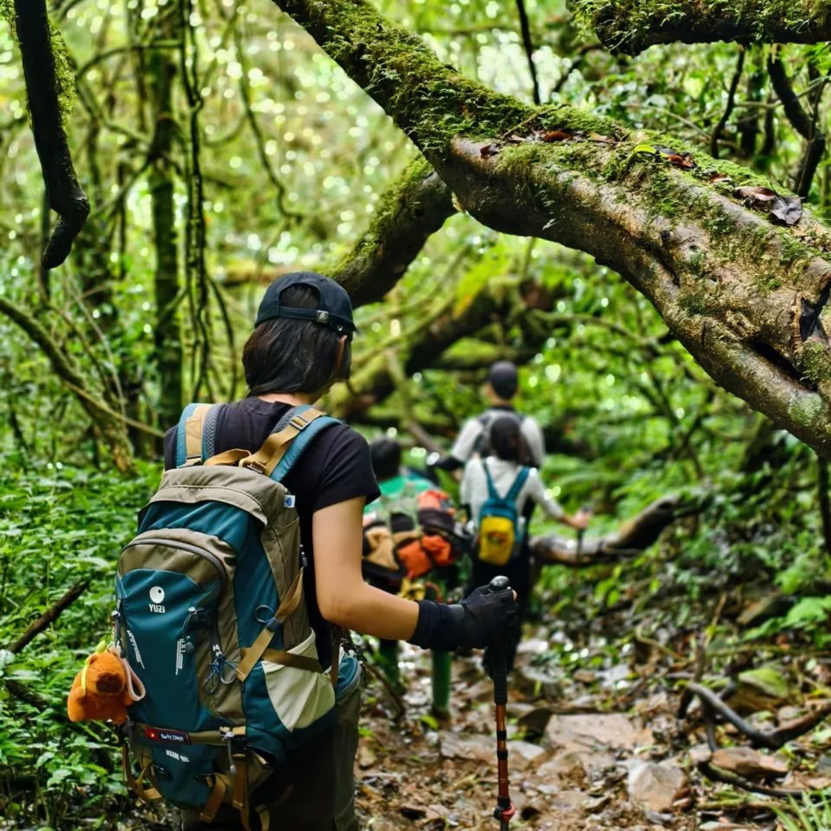 YUZI- Usual 40L Balo Leo Núi Dã Ngoại 40 Lít Trợ Lực Kháng Nước – Version 2