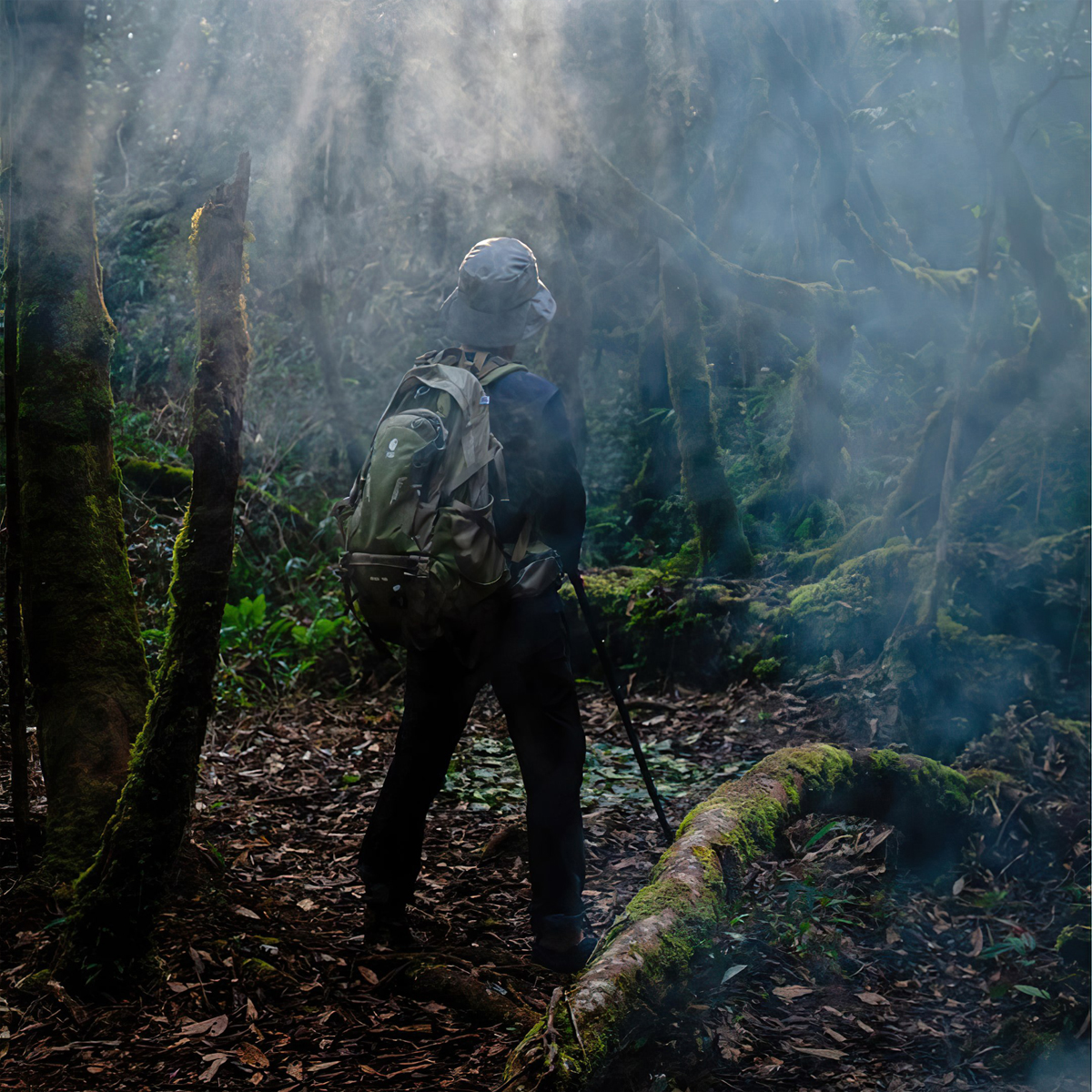 YUZI- Usual 40L Balo Leo Núi Dã Ngoại 40 Lít Trợ Lực Kháng Nước – Version 2