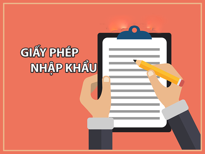 Giấy phép nhập khẩu là gì? Quy trình xin cấp giấy phép nhập khẩu