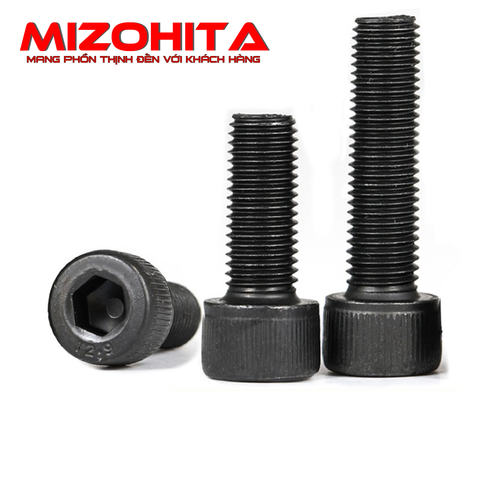 M10x1.25P Fine Pitch Socket Cap Screw High Tensile 12.9 DIN912 - Foto 9