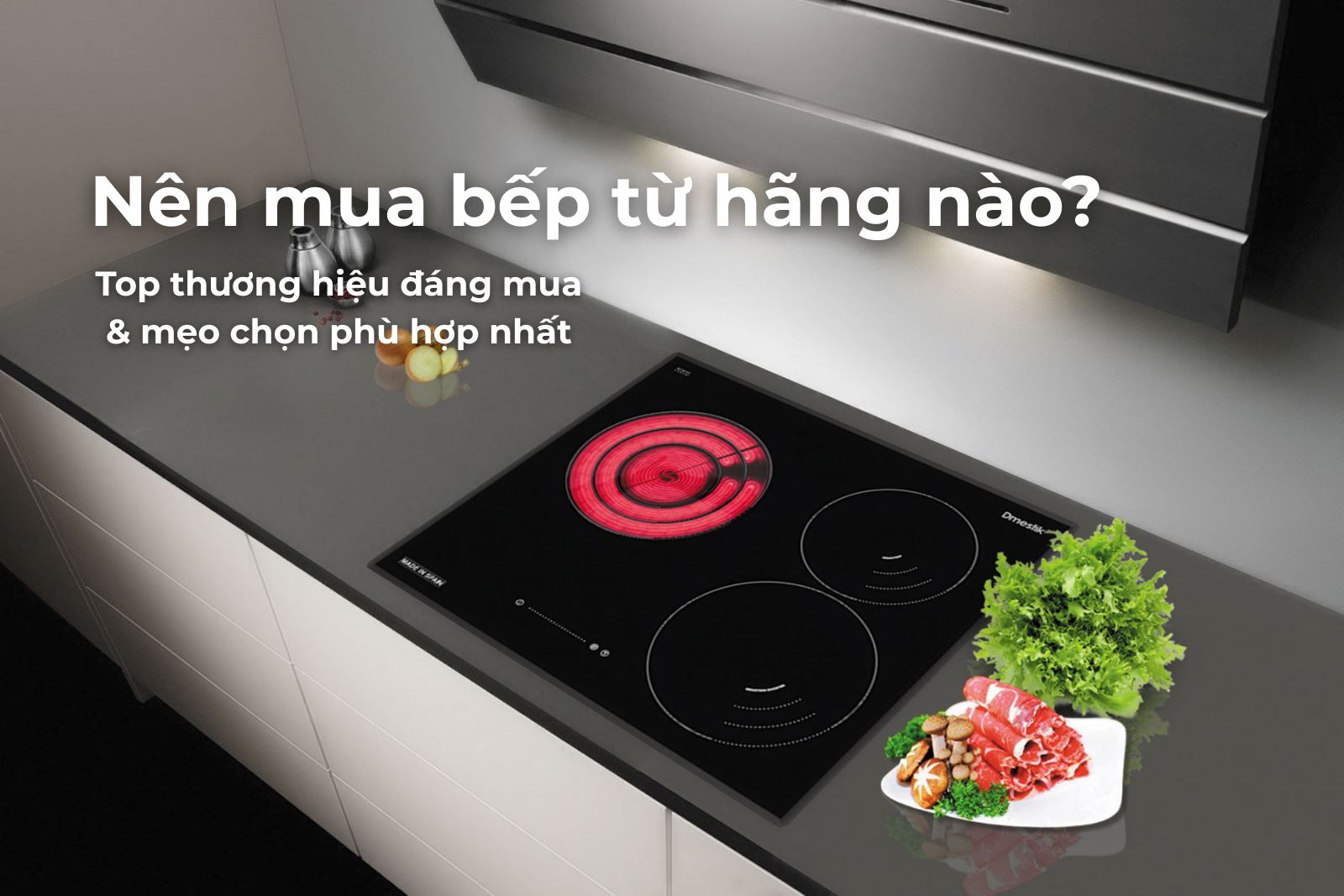 Nên mua bếp từ hãng nào? Top thương hiệu đáng mua & mẹo chọn phù hợp