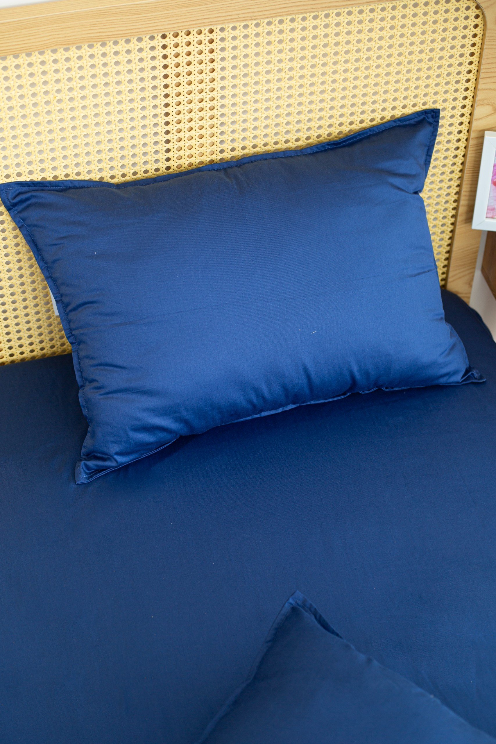 Vỏ gối Lụa Modal mầu trơn LEE CORNER cao cấp, áo gối nằm đủ size 25x35cm, 35x50cm 40x60cm 50x70cm 48x74cm