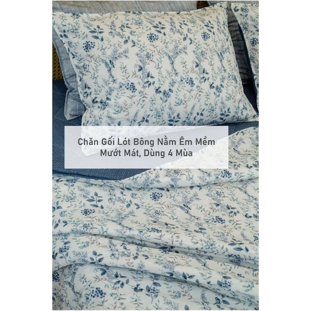 Chăn Modal Micro cao cấp, LEE CORNER, chăn lót bông, chăn lồng ruột, vải mịn, mềm, thoáng mát