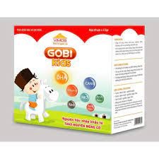 Gobi kids