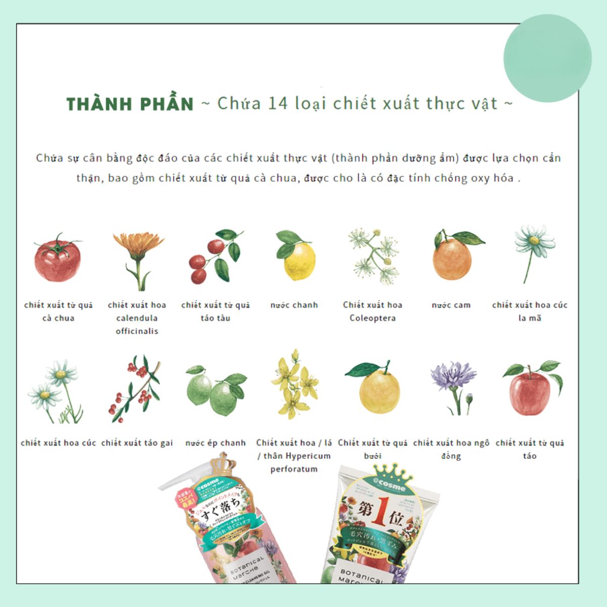 Gel Tẩy Trang Thảo Mộc Botanical Marche Làm Sạch Sâu Dưỡng Trắng Lành Tính Mọi Loại Da Nhật Bản