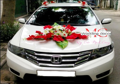 MẪU 4 XE HONDA CITY