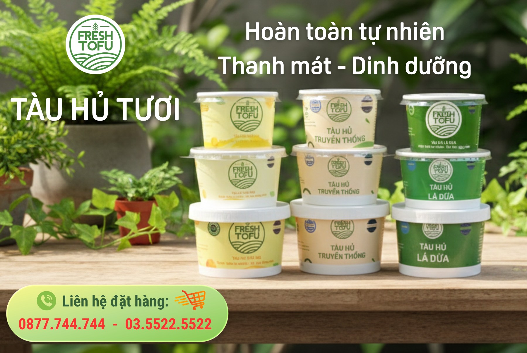 🌱KHỞI ĐỘNG NĂM MỚI 2026 – KINH DOANH NHẸ VỐN CÙNG FRESH TOFU 🌱