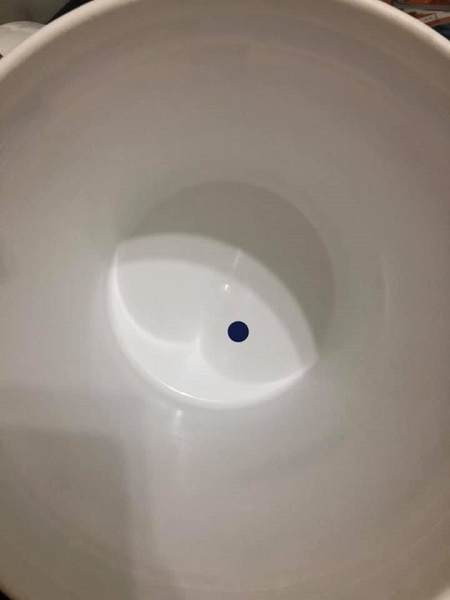 Chai tẩy rửa bồn cầu Toilet Daiichi - 500ml
