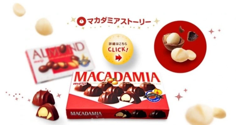 Kẹo Socola Meiji Macadamia 64g