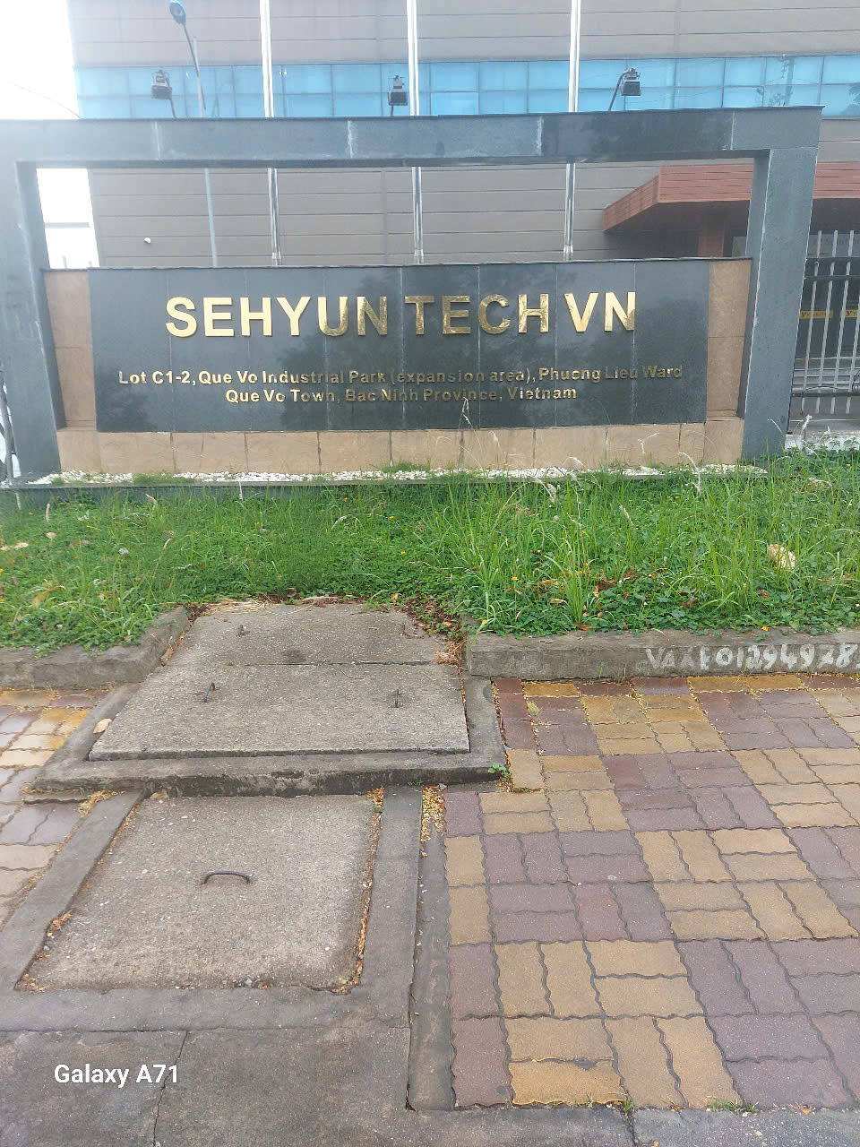 THAY CỔ HÚT MÁY NÉN KHÍ CÔNG TY SEHUYNTECH VN