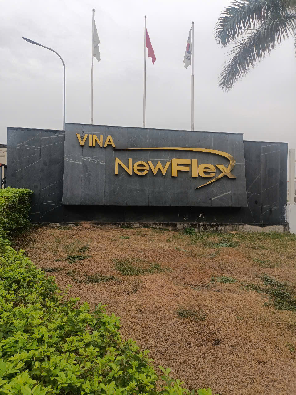 XỬ LÝ HỞ DẦU MÁY NÉN CÔNG TY NEWFLEX_ VĨNH PHÚC