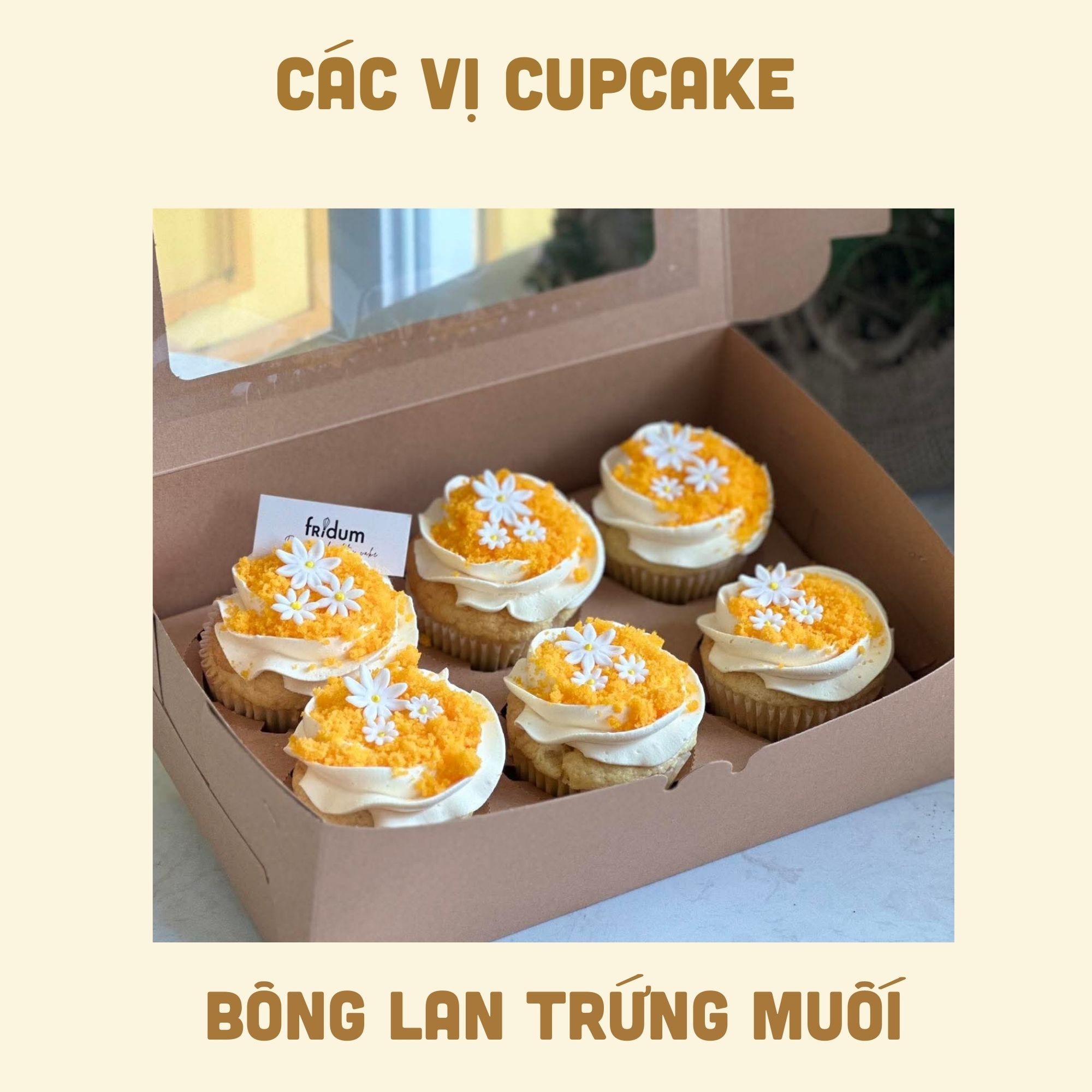 Set 6 Cupcake | Teabreak