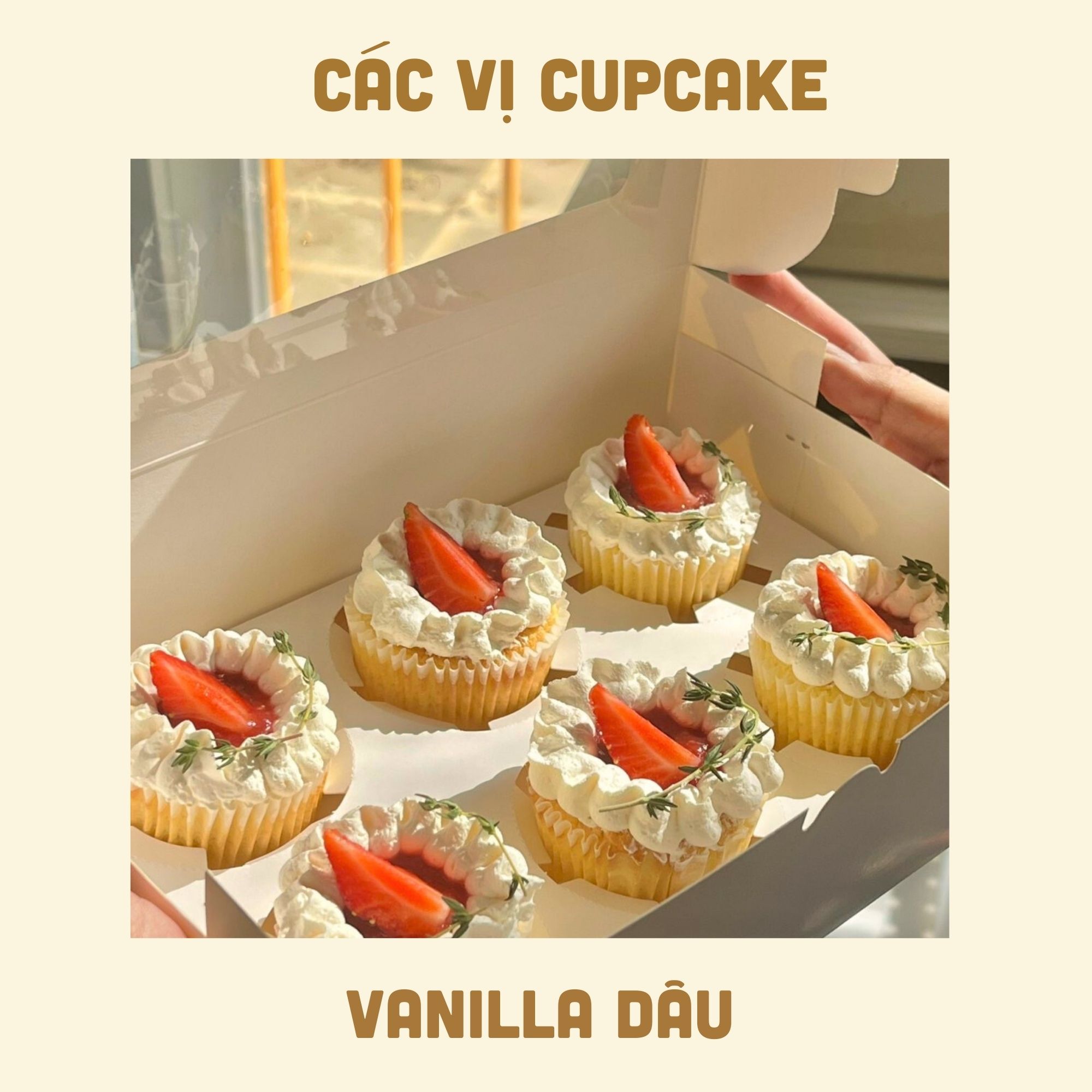 Set 6 Cupcake | Teabreak