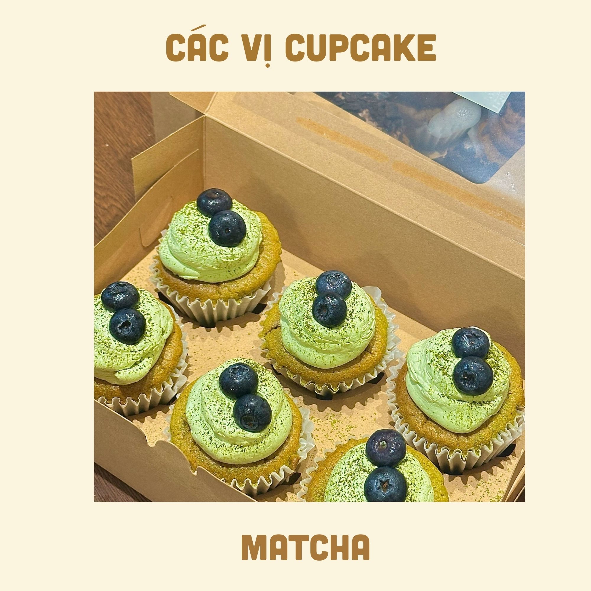 Set 6 Cupcake | Teabreak