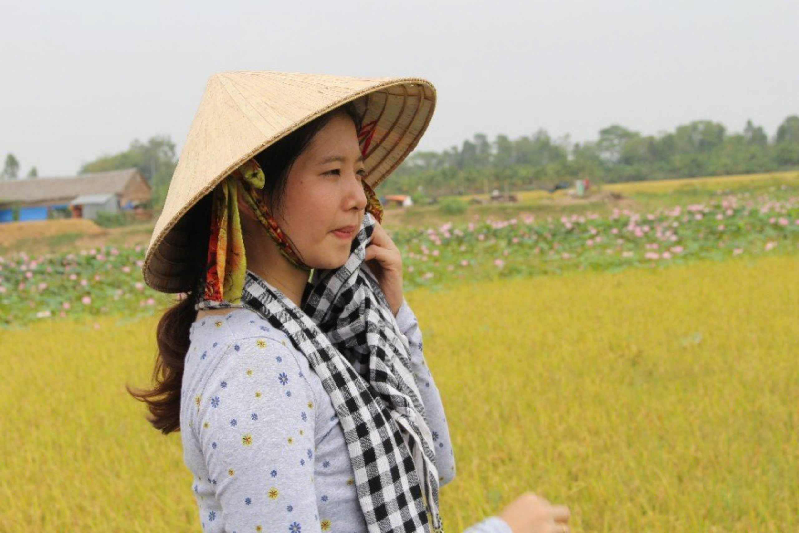 Vinarice chào xuân sang