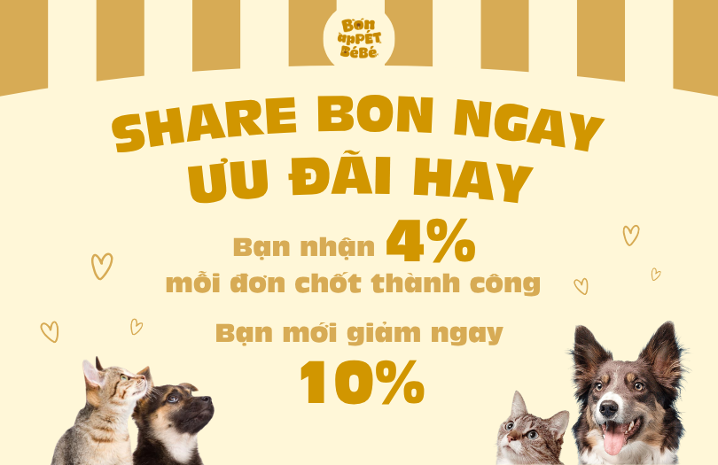 SHARE BON NGAY ƯU ĐÃI HAY