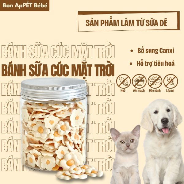 BÁNH SỮA CÚC MẶT TRỜI