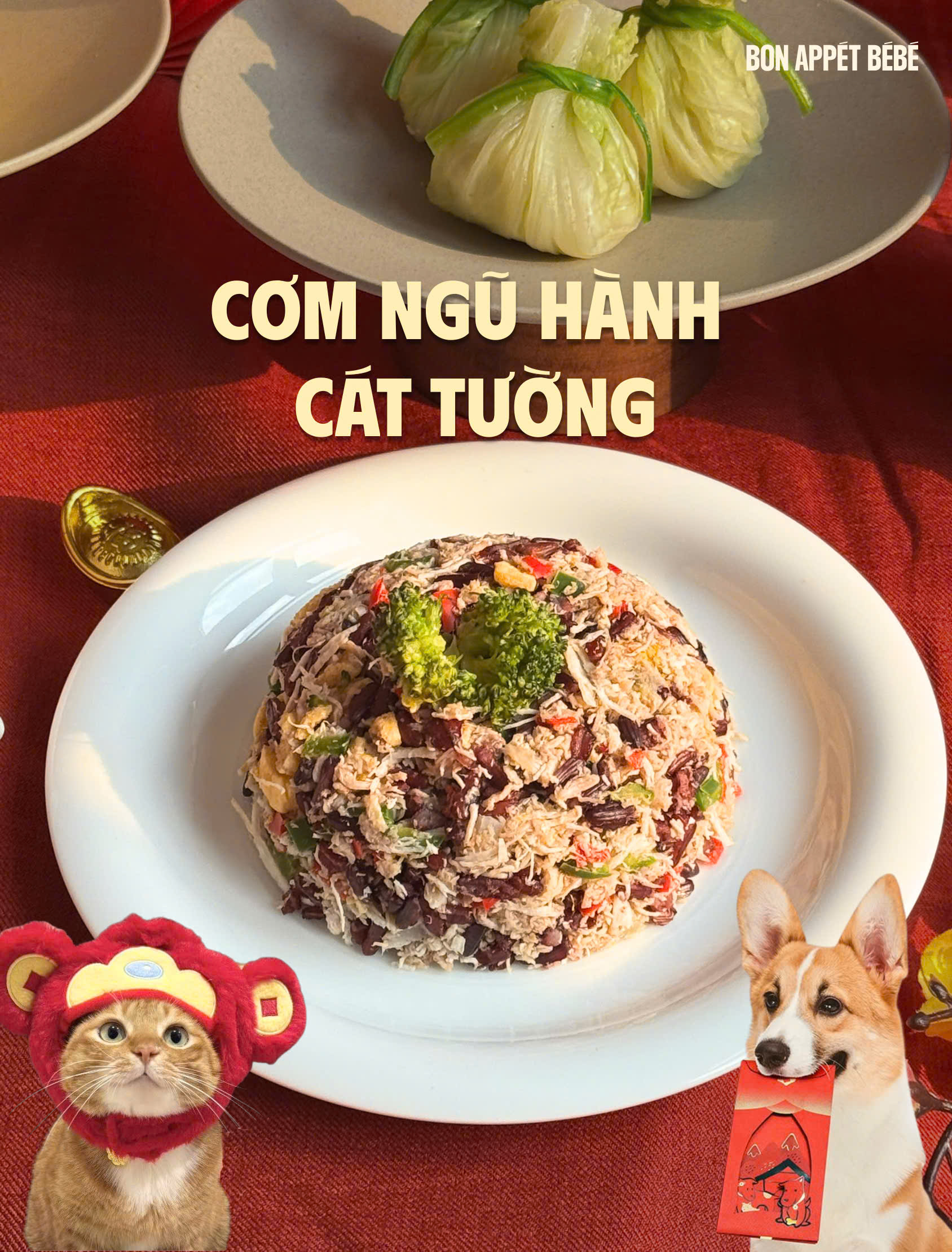 CƠM NGŨ HÀNH CÁT TƯỜNG