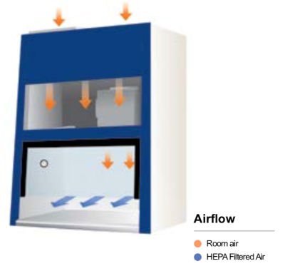 Tủ Cấy Vi Sinh dòng thổi ngang có cửa sổ bên quan sát LCB–1152HEW,Labtech - Hàn Quốc