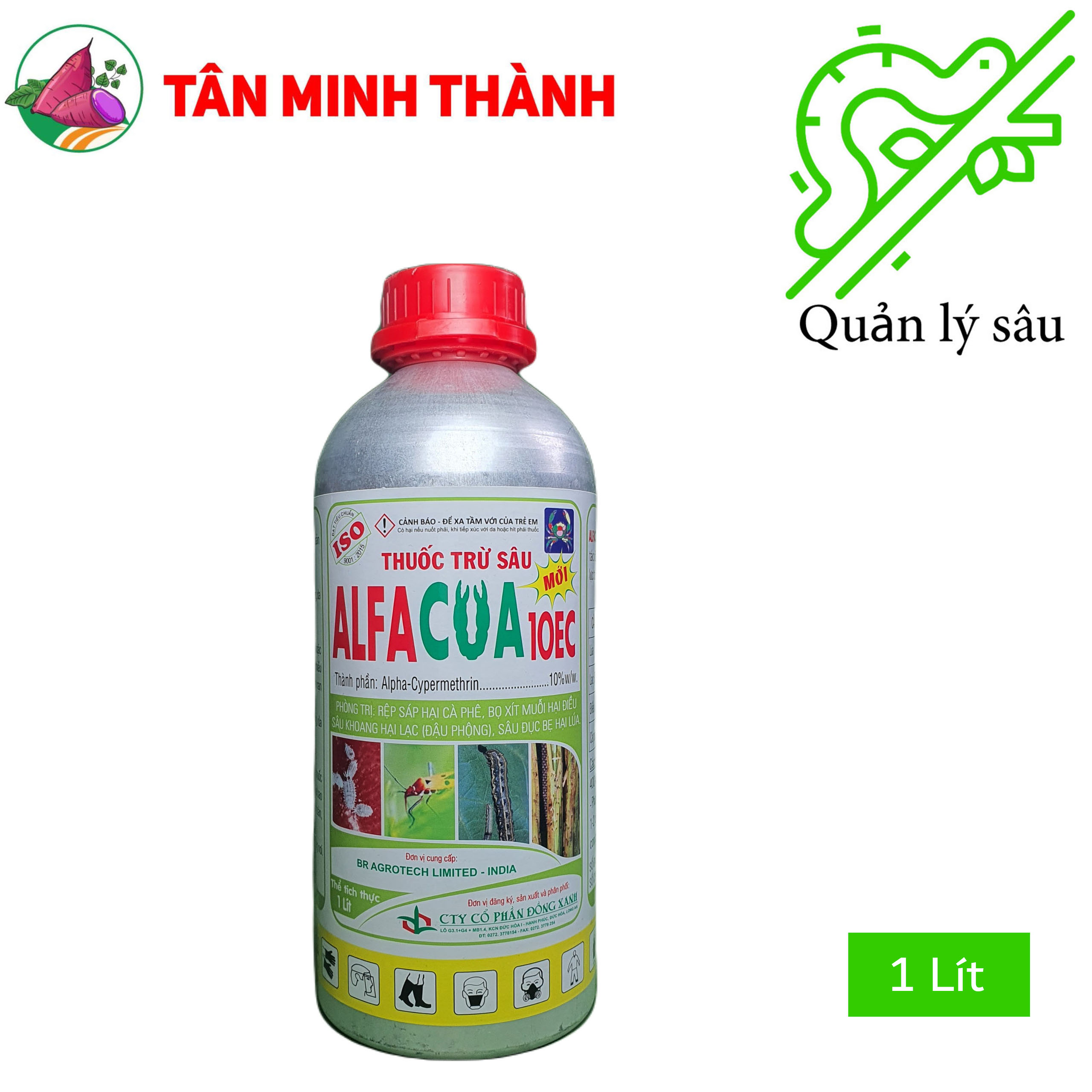 Alfacua 10EC - Thuốc đặc trị rệp sáp, sùng khoai lang, sâu khoang, sâu đục bẹ, bọ xít muỗi, muỗi hành