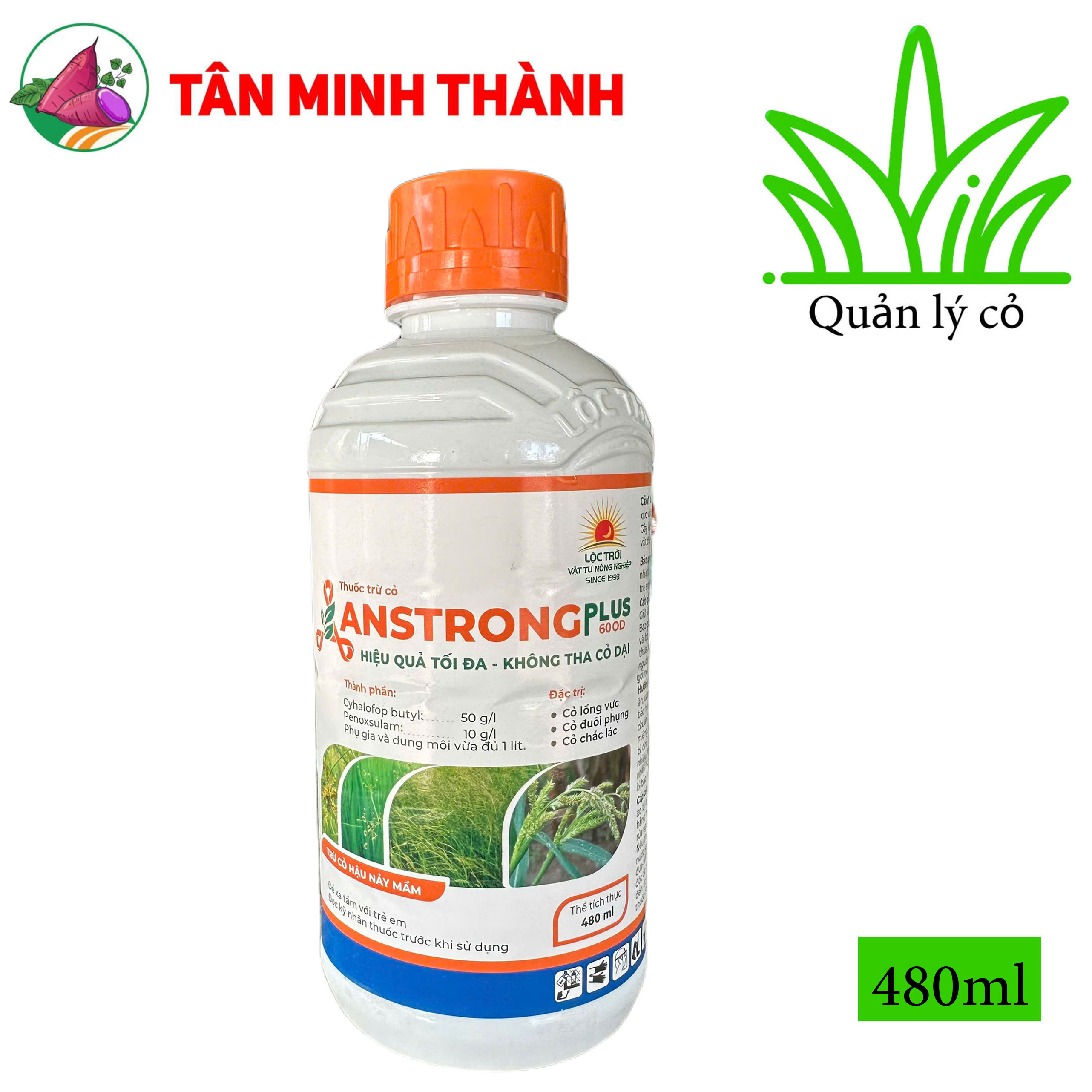 Anstrong Plus 600OD - Thuốc trừ cỏ lòng vực, cỏ đuôi phụng, cỏ chác lác