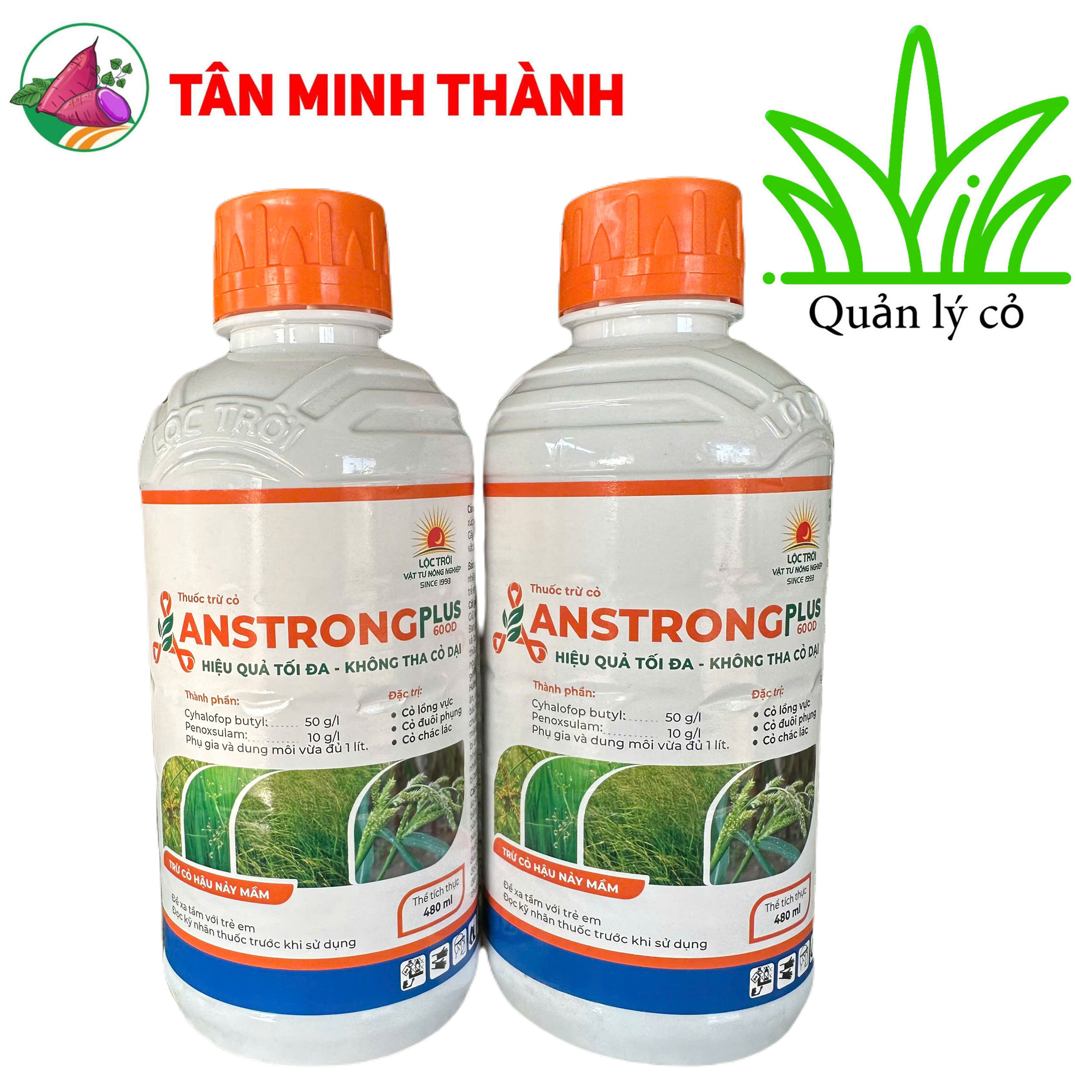 Anstrong Plus 600OD - Thuốc trừ cỏ lòng vực, cỏ đuôi phụng, cỏ chác lác