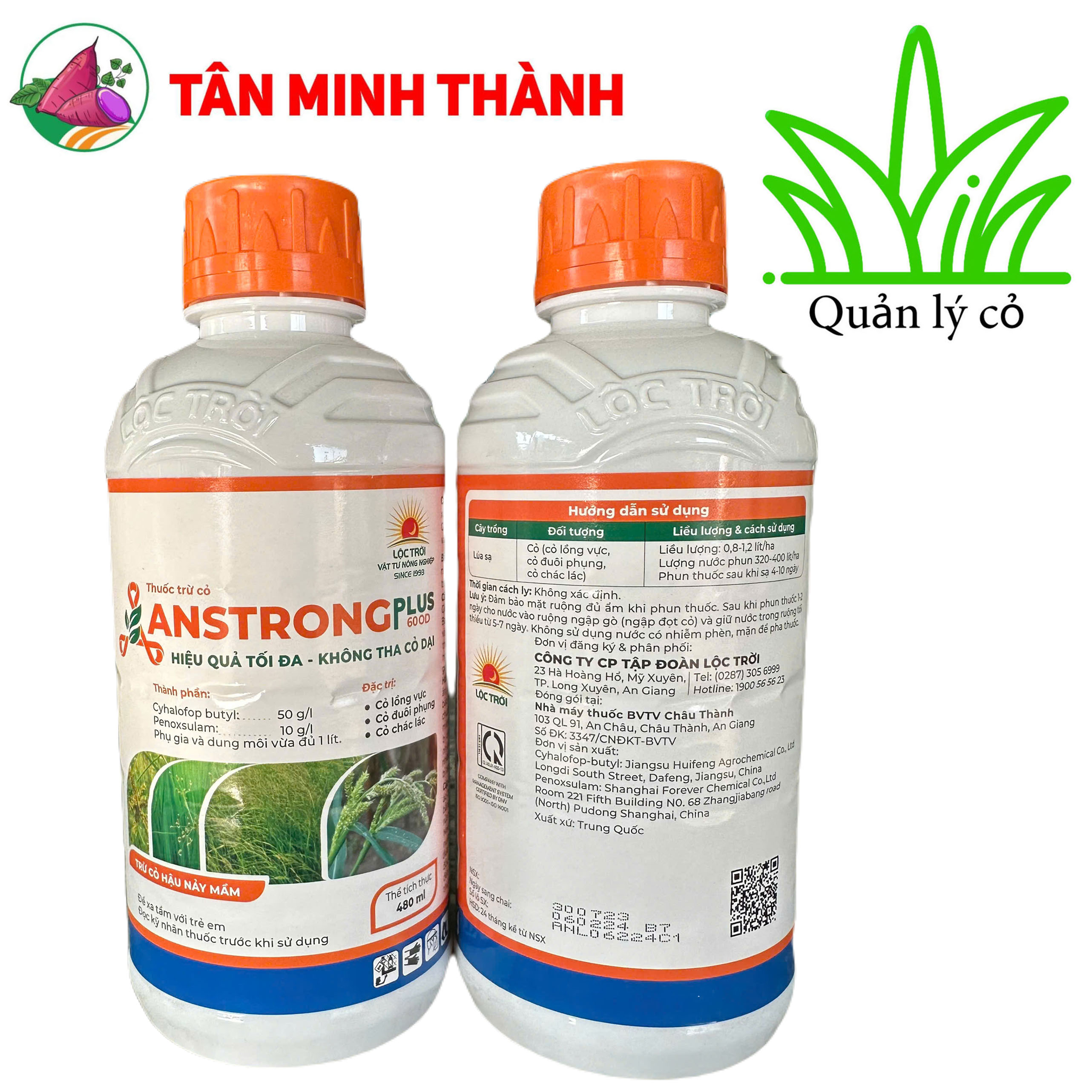 Anstrong Plus 600OD - Thuốc trừ cỏ lòng vực, cỏ đuôi phụng, cỏ chác lác