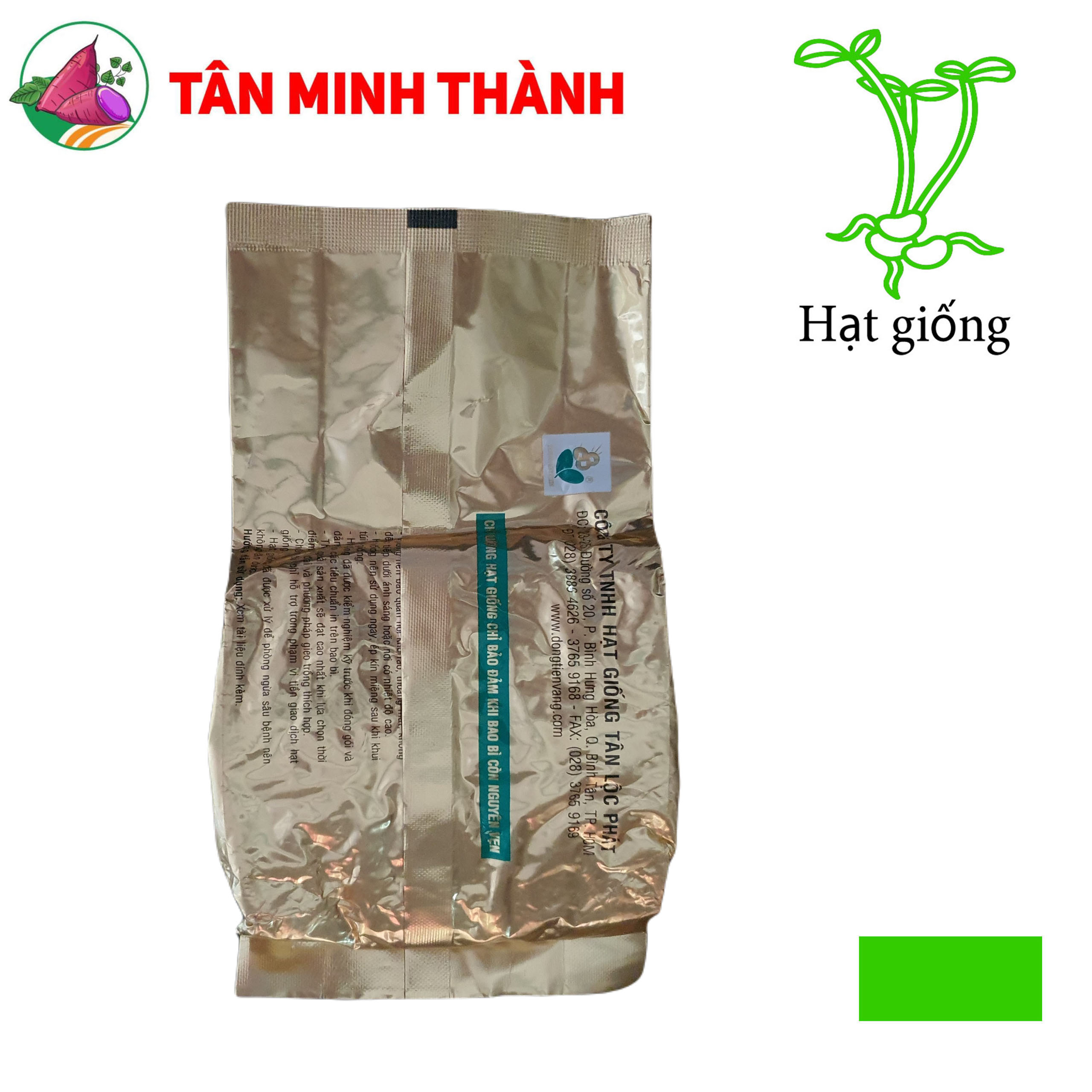 Bắp Nếp FUTURE 16 - Hạt giống Đồng Tiền Vàng