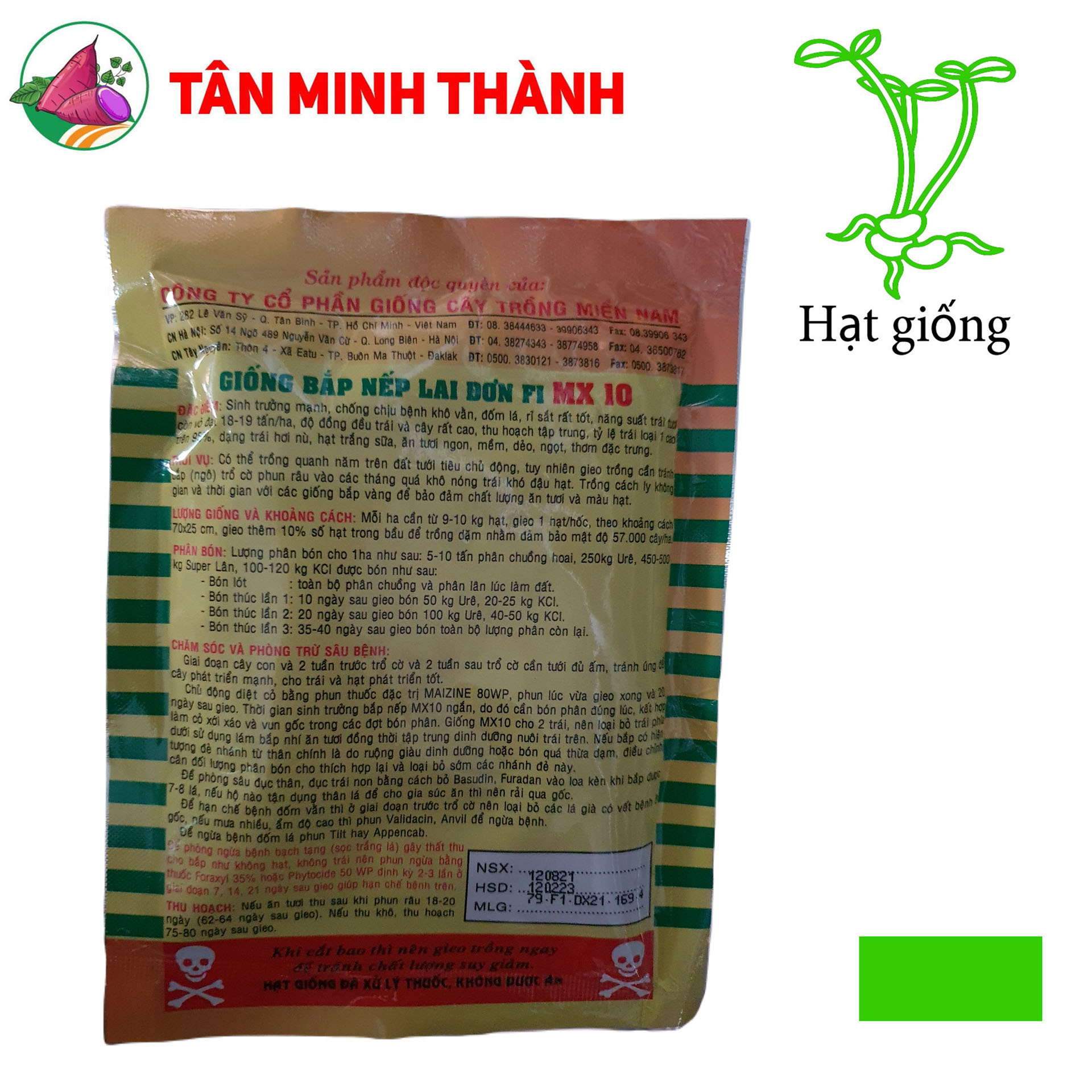 Bắp Nếp MX10 - Hạt Giống Cây Trồng Miền Nam