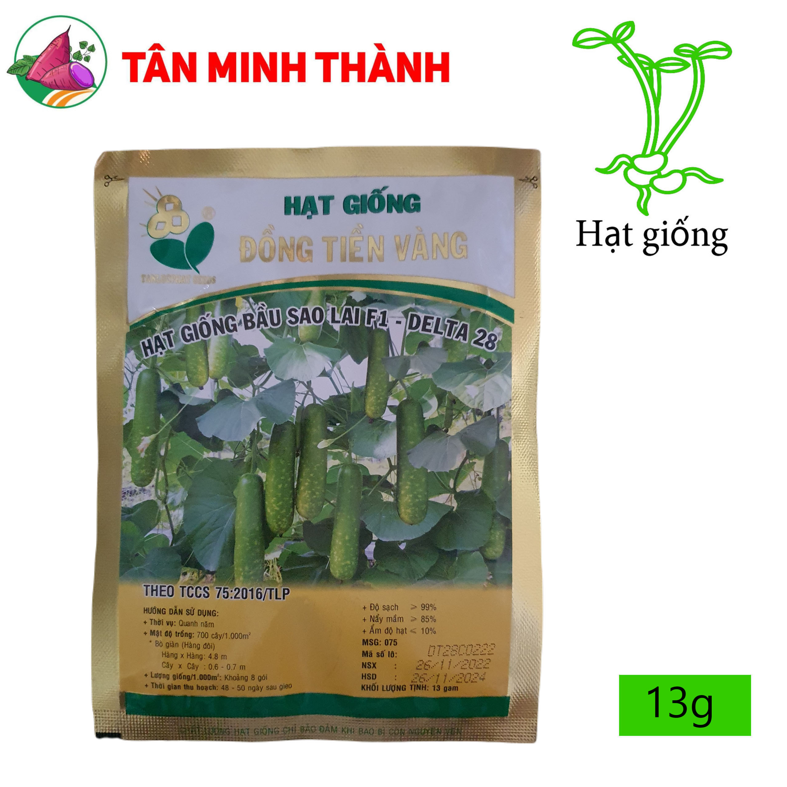 Bầu Sao DELTA 28 - Hạt giống Đồng Tiền Vàng